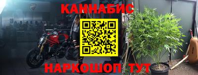 ГАЛЛЮЦИНОГЕННЫЕ ГРИБЫ Нальчик