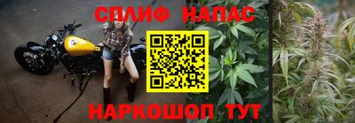 ешки Нарткала